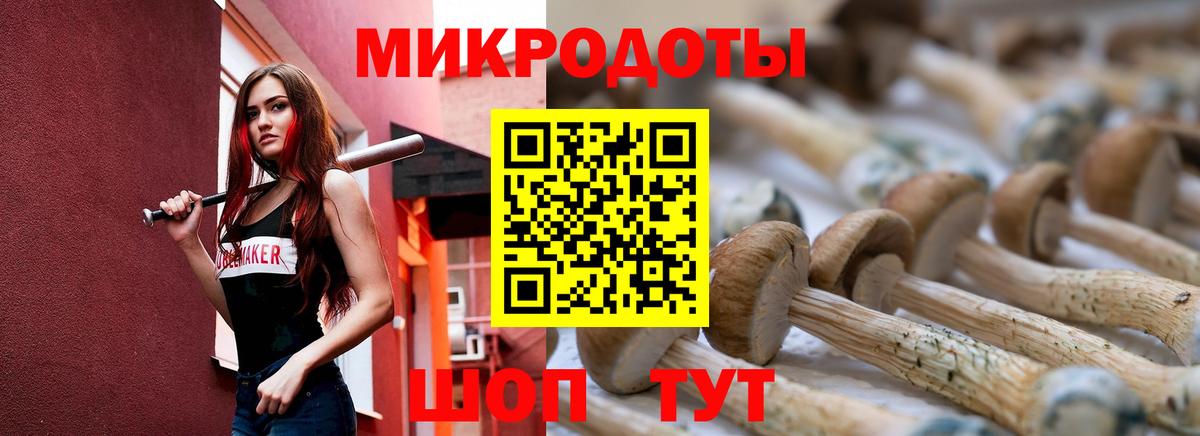 Галлюциногенные грибы GOLDEN TEACHER  Галлюциногенные грибы мицелий  Вход с VPN  Асино 